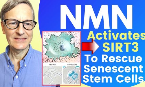 NMN Activates SIRT3 To Rescue Senescent Stem Cells