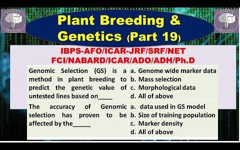 Plant Breeding and Genetics-MCQs (Part-19) for ICAR-NET/AFO/ICAR-JRF/SRF/IBPS-AFO/NABARD/HDO