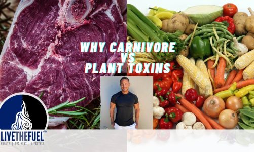 Why Carnivore vs Plants Toxins with Anthony Chaffee Round 2 Ep 401