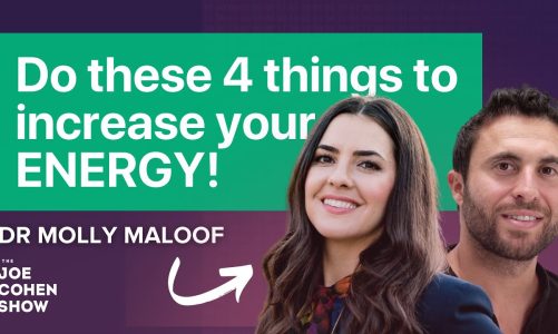 Molly Maloof: Optimize Mitochondrial Health To Boost Energy, Immunity & Stress Response | Episode 15
