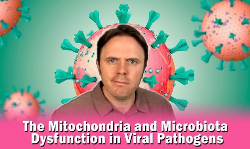 The Mitochondria and Microbiota Dysfunction in Viral Pathogens