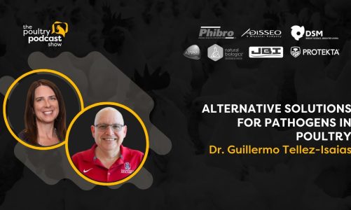 #22 – Dr. Guillermo Tellez-Isaias – Alternative solutions for pathogens in poultry