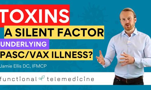 Toxins and Long COVID, Post Vax Illness and Other Chronic Conditions