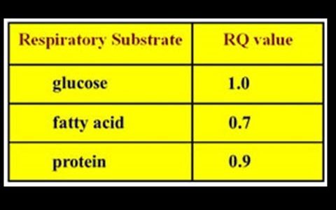 Respiration: Respiratory Substrates & Respiratory Quotient & Adaption of mitochondria to respiration