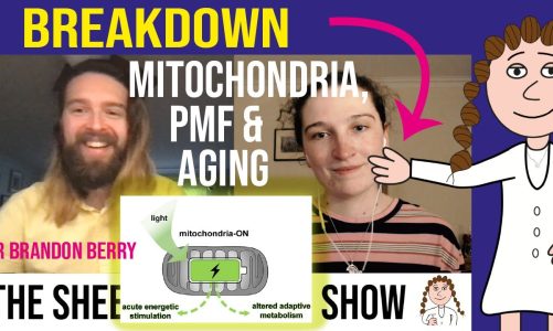 Mitochondria-ON – Optogenetics & Aging