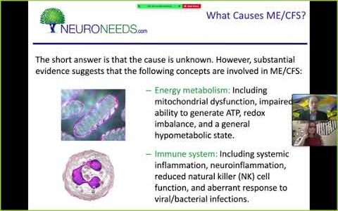 What Causes Myalgic Encephalomyelitis/Chronic Fatigue Syndrome (ME/CFS)