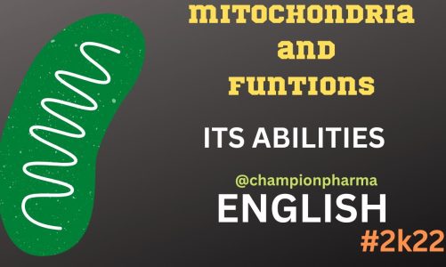 Mitochondria structure and function//Why Mitochondria is important//in English //Function//role