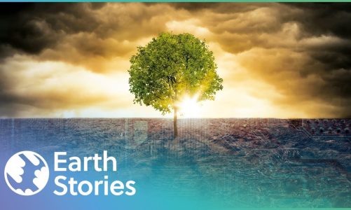 Can We Find The Balance Between Nature And Technology? | Origins | Earth Stories