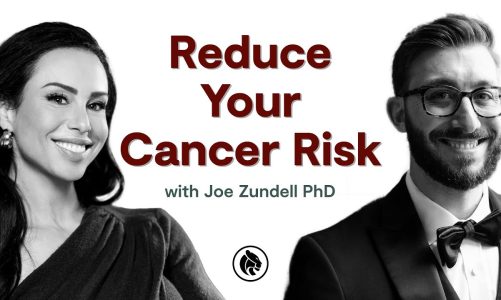 Understanding Cancer: Preventing and Lowering Your Risk | Joe Zundell PhD