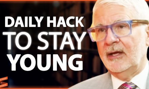 The DAILY HACKS To End Inflammation & Increase Your LIFESPAN | Dr. Steven Gundry