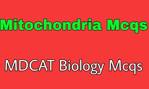 Mitochondria Mcqs|mitochondria mdcat||mitochondria|
