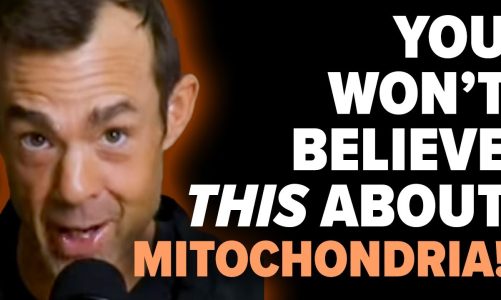 The Unexpected Magic of Mitochondria with Jeff Krasno