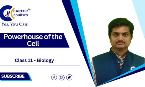 Powerhouse of the Cell | Class 11 – Biology | Career & Courses | Yes You Can!