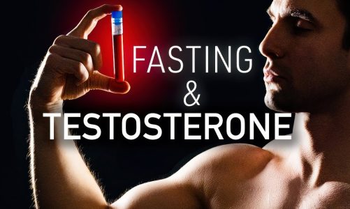 How Fasting changes Testosterone (Fasting Science)