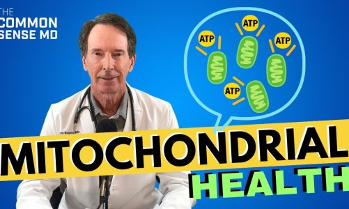MITOCHONDRIAL HEALTH I The Common Sense MD I Dr. Tom Rogers
