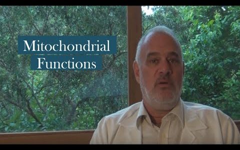 Mitochondrial functions