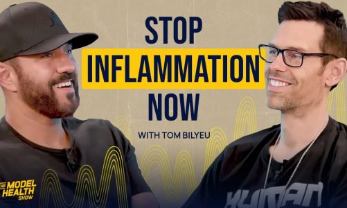 How to MELT FAT & End Inflammation TODAY | Shawn Stevenson & Tom Bilyeu