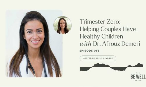 68. Trimester Zero: Helping Couples Have Healthy Children – with Dr. Afrouz Demeri