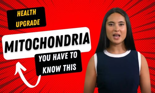 MITOCHONDRIA | Everything You Need To Know!