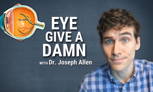 Episode 2: Eye Give a Damn about Myopia & Blue Light Research with Dr. Lisa Ostrin