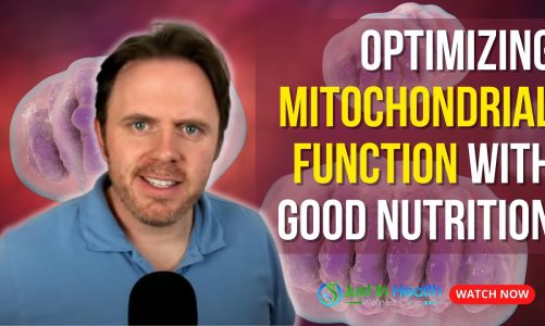 Optimizing Mitochondrial Function with Good Nutrition