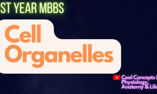 Cell Organelles – 1st Year MBBS