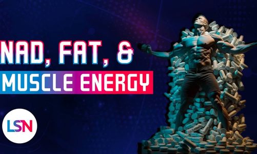 NAD+ Increases Fat? New Study Shows Strange Results