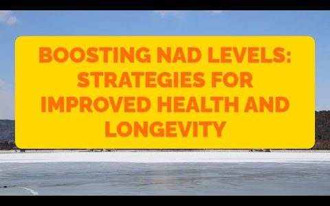 Boosting NAD Levels: Strategies for Improved Health and Longevity
