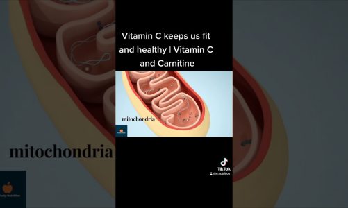 Vitamin C keeps us fit and healthy | Vitamin C and Carnitine | shorts