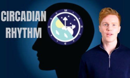 CIRCADIAN RHYTHM | Everything You Need To Know!