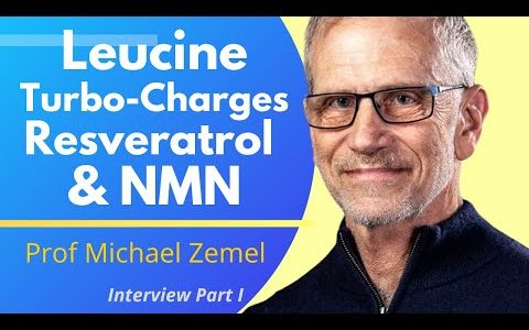 Leucine Amplifies The Effects Of Resveratrol & NMN  | Prof Michael Zemel  Ep 1
