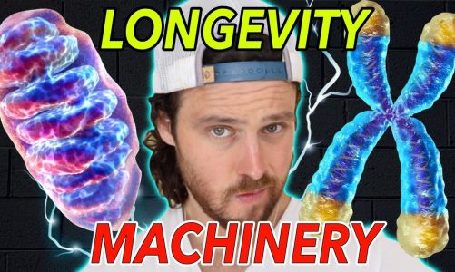 BOOST Your Cellular Longevity | Telomeres, Mitochondria & Inflammation
