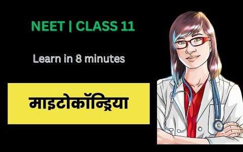 माइटोकॉन्ड्रिया | Mitochondria in Hindi | NEET | class 11 | Chapter 8 | Cell the unit of life