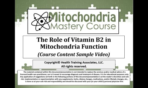 Mitochondria Mastery Course – The Role in Vitamin B12 in Mitochondria Function