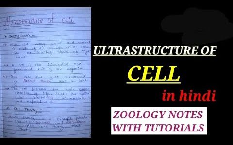 ULTRASTRUCTURE OF CELL #animalcell #cell #biology #zoology #cellnotes #cellinhindi #bio #bsczoology