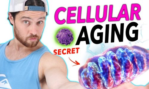 Are Free Radicals AGING YOU Faster or KEY for Cellular Health & Longevity?
