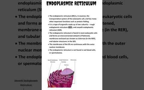 Endoplasmic Reticulum | Cell organelle | NCERT #lifescience #ncert