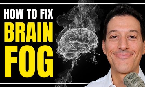 What is Brain Fog & What to Do About It | Cabral Concept 2594