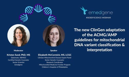 The ClinGen adaptation of the ACMG/AMP guidelines to mtDNA variant classification & interpretation