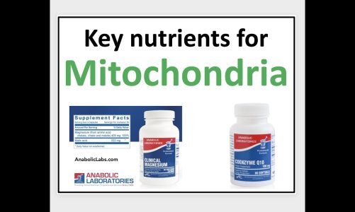 Magnesium and CoQ10 for mitochondrial health
