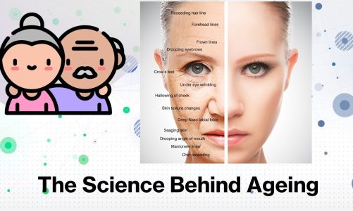 Understand the Science behind Aging – Explained in 5 Minutes