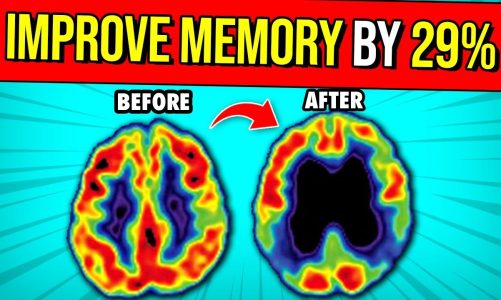 How To Improve Memory By 29% – 4 PROVEN Vitamins To Improve Memory