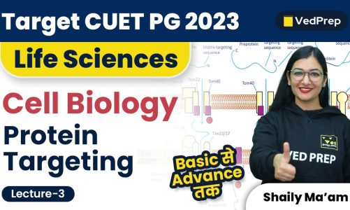 Protein Targeting | Cell Biology | CUET PG 2023 Life Sciences | VedPrep Biology Academy