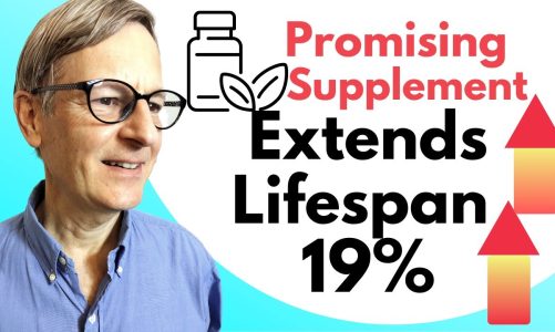 Promising Supplement Extends Lifespan 19% & Combats Alzheimer’s