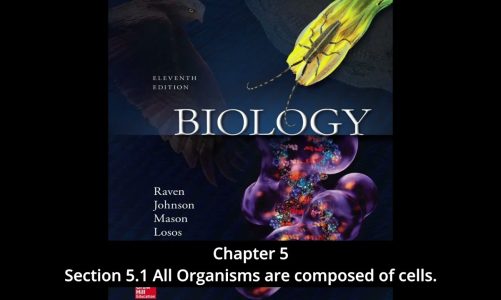 Biology – Chapter 5, Cell Structure