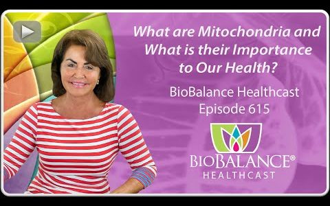 What are Mitochondria and What is their Importance to Our Health?
