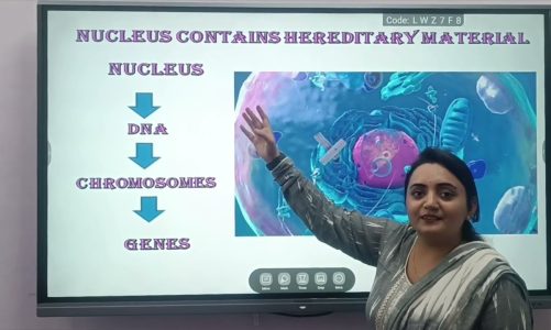 Nucleus contains genetic material