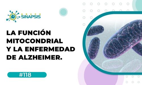 La Función Mitocondrial y la Enfermedad de Alzheimer