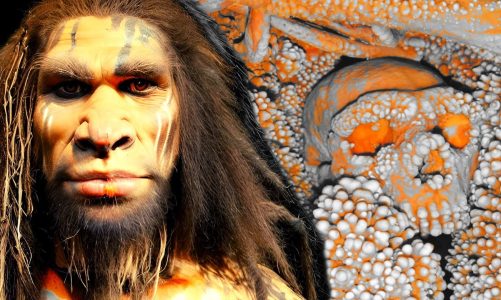 Paleontologists Unearth Chilling Mystery in Historic Neanderthal Discovery