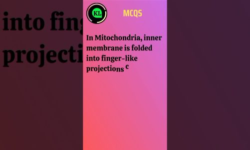 MCQs। In mitochondria, membrane is folded into finger-like projections called Cristae #mitochondria